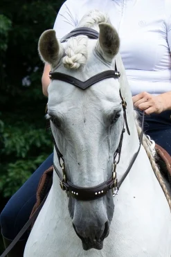 F.R.A. Freedom Riding Articles Glory Hackamore Zaum mit Zügeln (System 2), braun* Hackamores