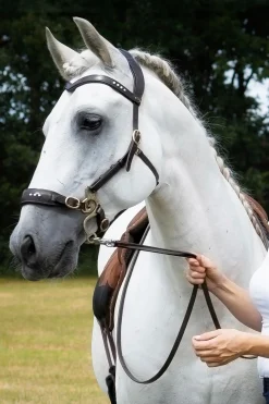 F.R.A. Freedom Riding Articles Glory Hackamore Zaum mit Zügeln (System 2), braun* Hackamores