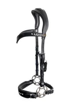 F.R.A. Freedom Riding Articles Glory Hackamore Zaum mit Zügeln (System 2), schwarz* Hackamores