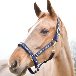 Horze Hamptons Halfter* Halfter