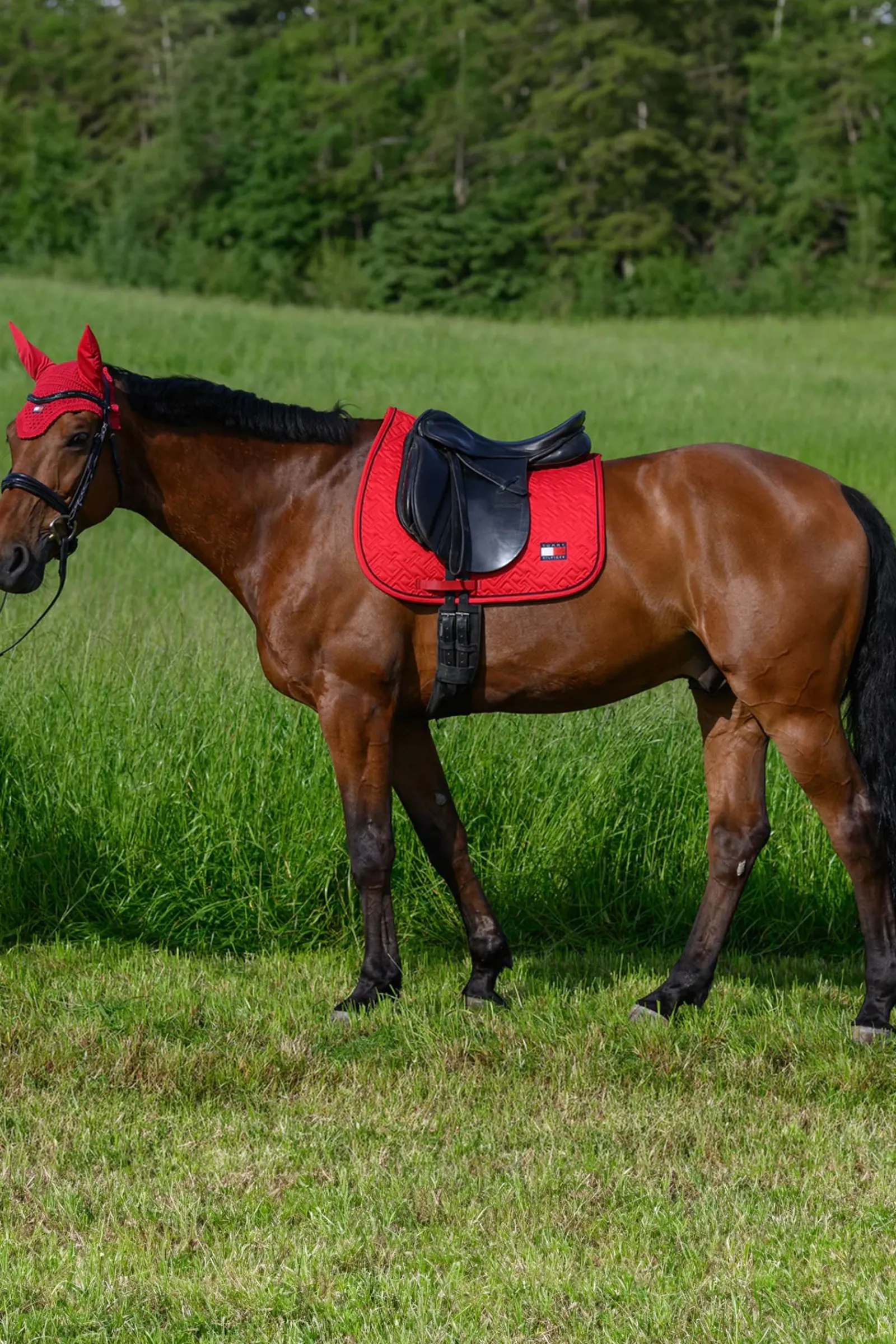 Tommy Hilfiger Equestrian Harvard Dressurschabracke* Dressurschabracken