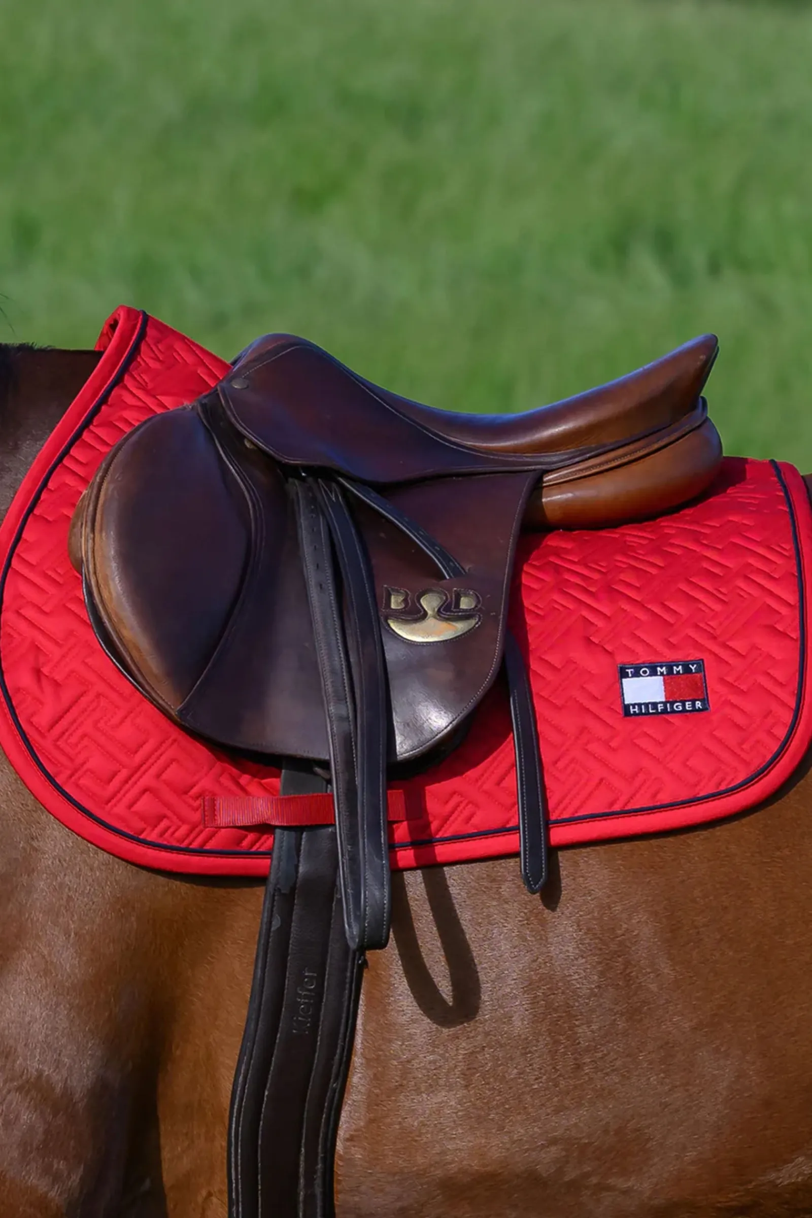 Tommy Hilfiger Equestrian Harvard Springschabracke* Spring- & Vielseitigkeitsschabracken