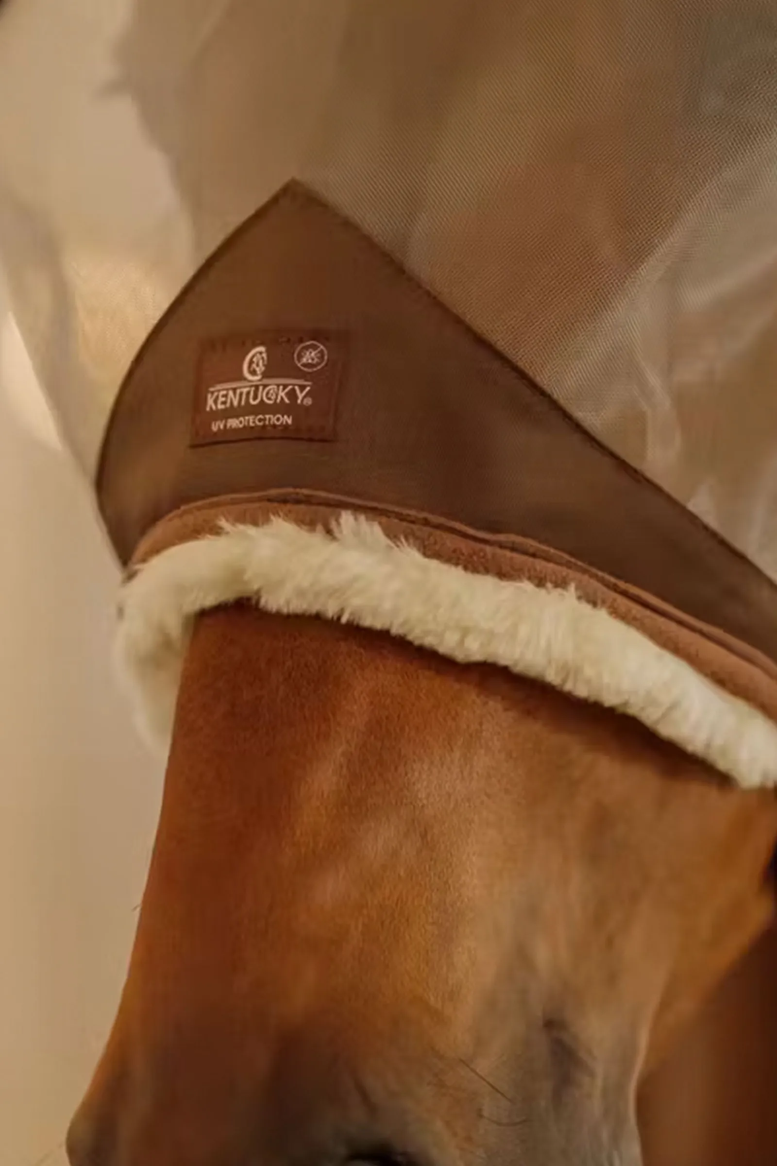 Kentucky Horsewear hautfreundliche Fliegemaske mit Ohren* Fliegenmasken & Fliegenfransen