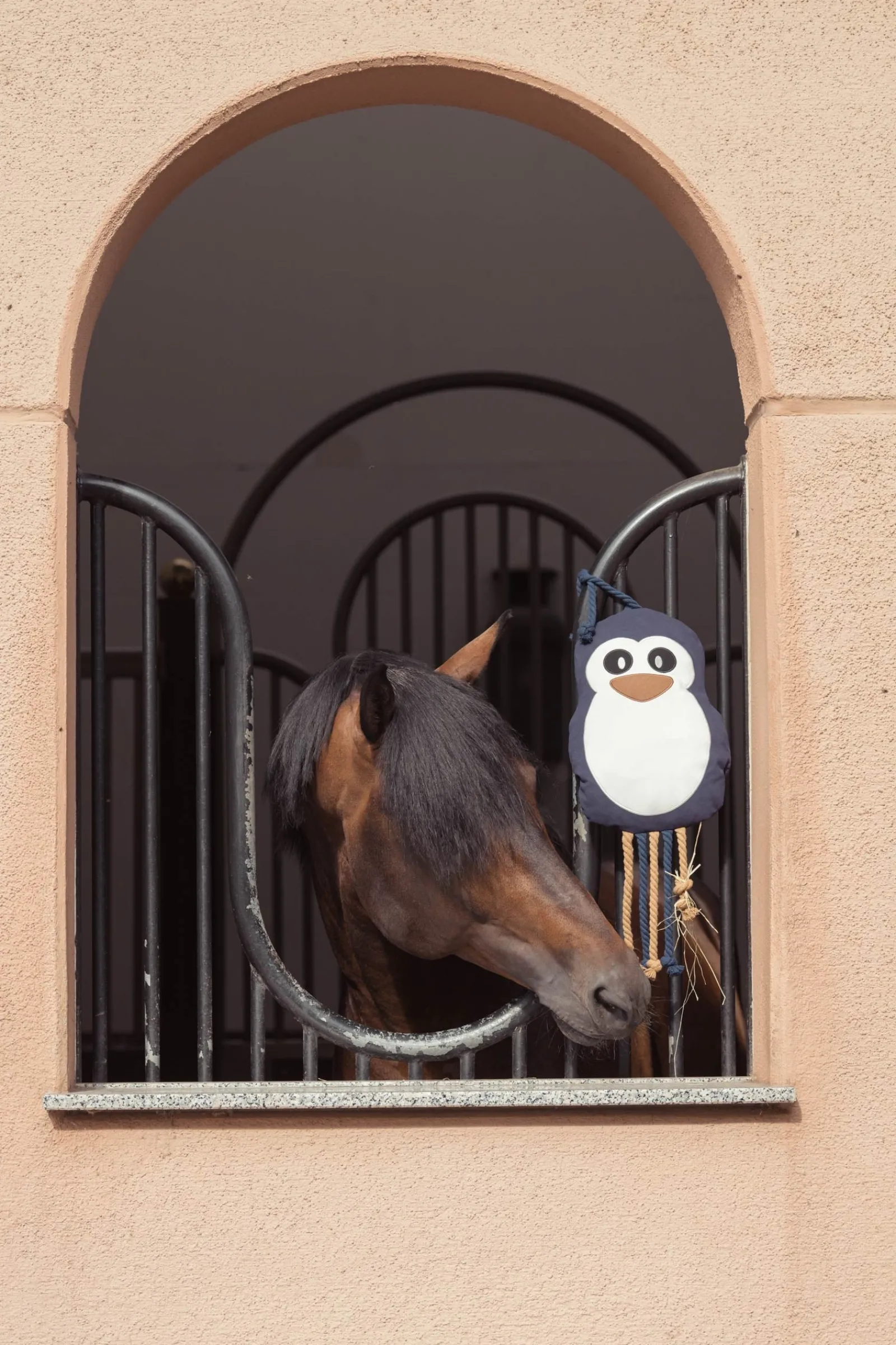 Eskadron Heritage AW24 Penguin Spielzeug für Pferde* Reithallen-Zubehör|Pferdespielzeug
