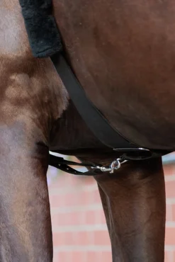 Kavalkade Horselight Bauchgurt mit rotem Rücklicht* Reflexausrüstung