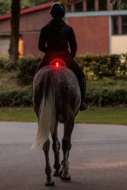 Kavalkade Horselight rotes Rücklicht für den Sattel* Reflexausrüstung