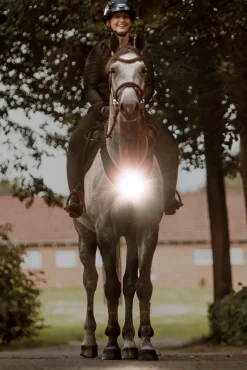 Kavalkade Horselight Vorderzeug mit weißem Frontlicht* Reflexausrüstung