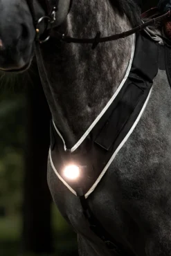 Kavalkade Horselight Vorderzeug- und Sattelleuchte, Set 1* Reflexausrüstung