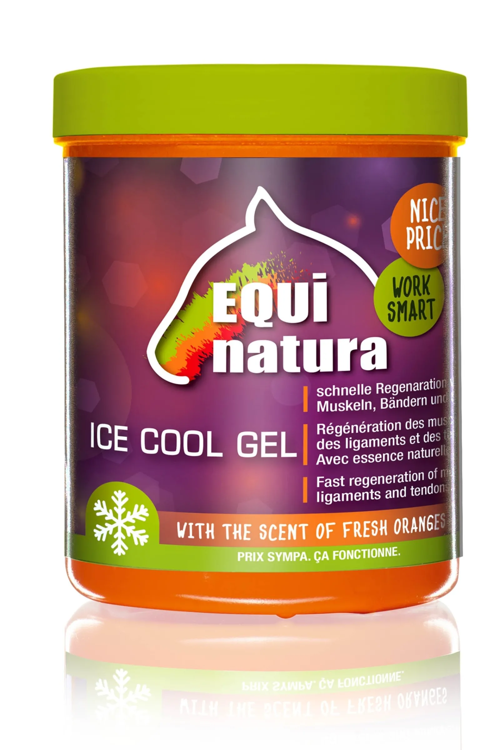 Equinatura Ice Cool Gel, 600 ml* Stallapotheke|Sonstige Therapie- & Massageartikel