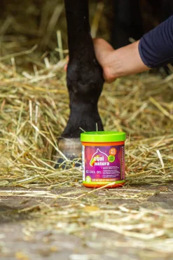 Equinatura Ice Cool Gel, 600 ml* Stallapotheke|Sonstige Therapie- & Massageartikel
