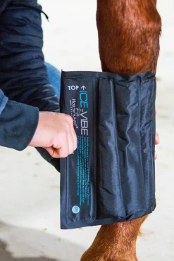 Horseware Ice-Vibe Gamaschen* Therapie- & Kühlgamaschen