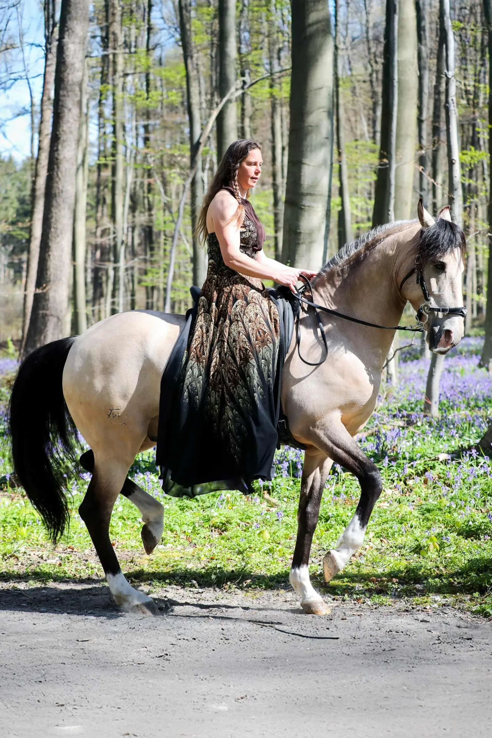 F.R.A. Freedom Riding Articles Imperial Hackamore Zaum mit Zügeln (System 2)* Trensen & Nasenriemen