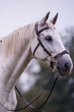 F.R.A. Freedom Riding Articles Imperial Hackamore Zaum mit Zügeln (System 2)* Trensen & Nasenriemen