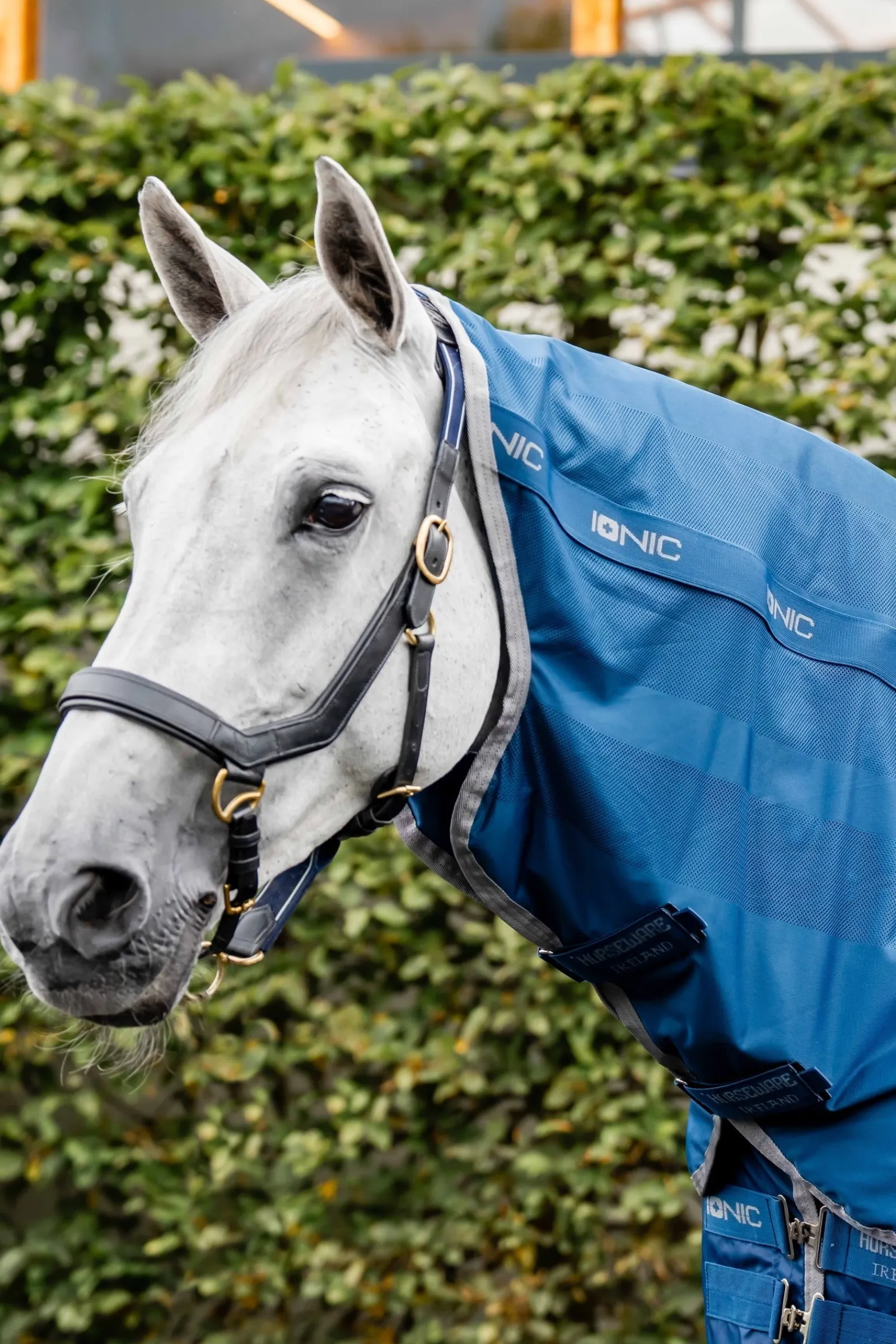 Horseware Ionic Therapy Halsteil für Mesh Abschwitzdecke* Therapie-Decken|Therapie-Decken