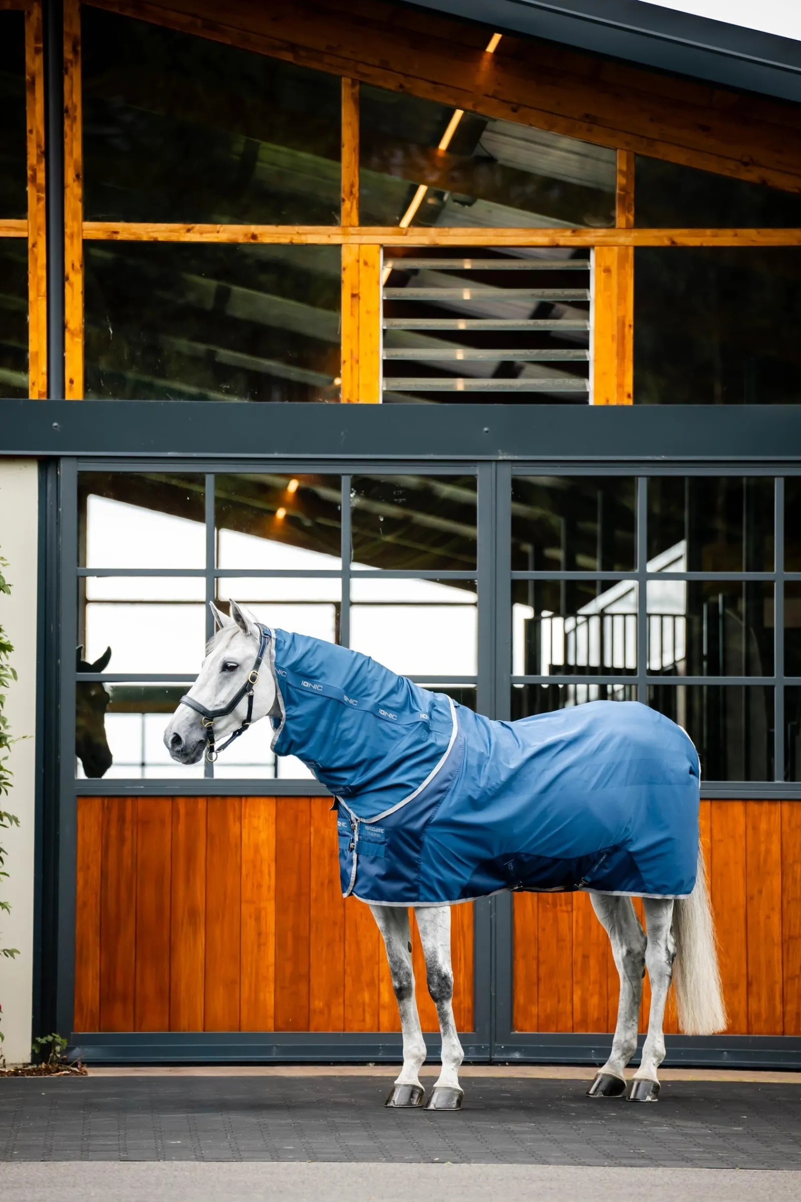 Horseware Ionic Therapy Halsteil für Mesh Abschwitzdecke* Therapie-Decken|Therapie-Decken