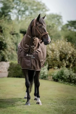 Bucas Irish Turnout 50 g Rug & Neck* Leichte Weidedecken