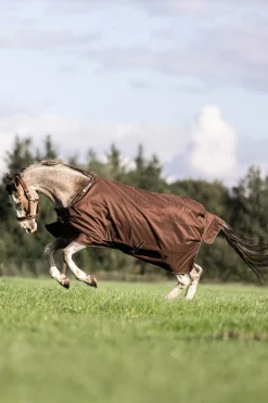 Bucas Irish Turnout 50 g Rug & Neck* Leichte Weidedecken