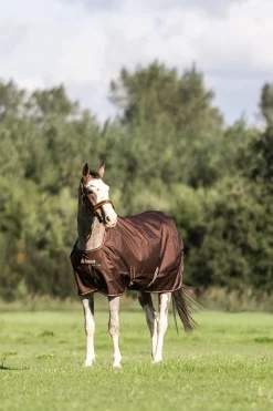 Bucas Irish Turnout 50 g Rug & Neck* Leichte Weidedecken