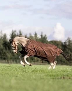 Bucas Irish Turnout 50 g Rug & Neck* Leichte Weidedecken