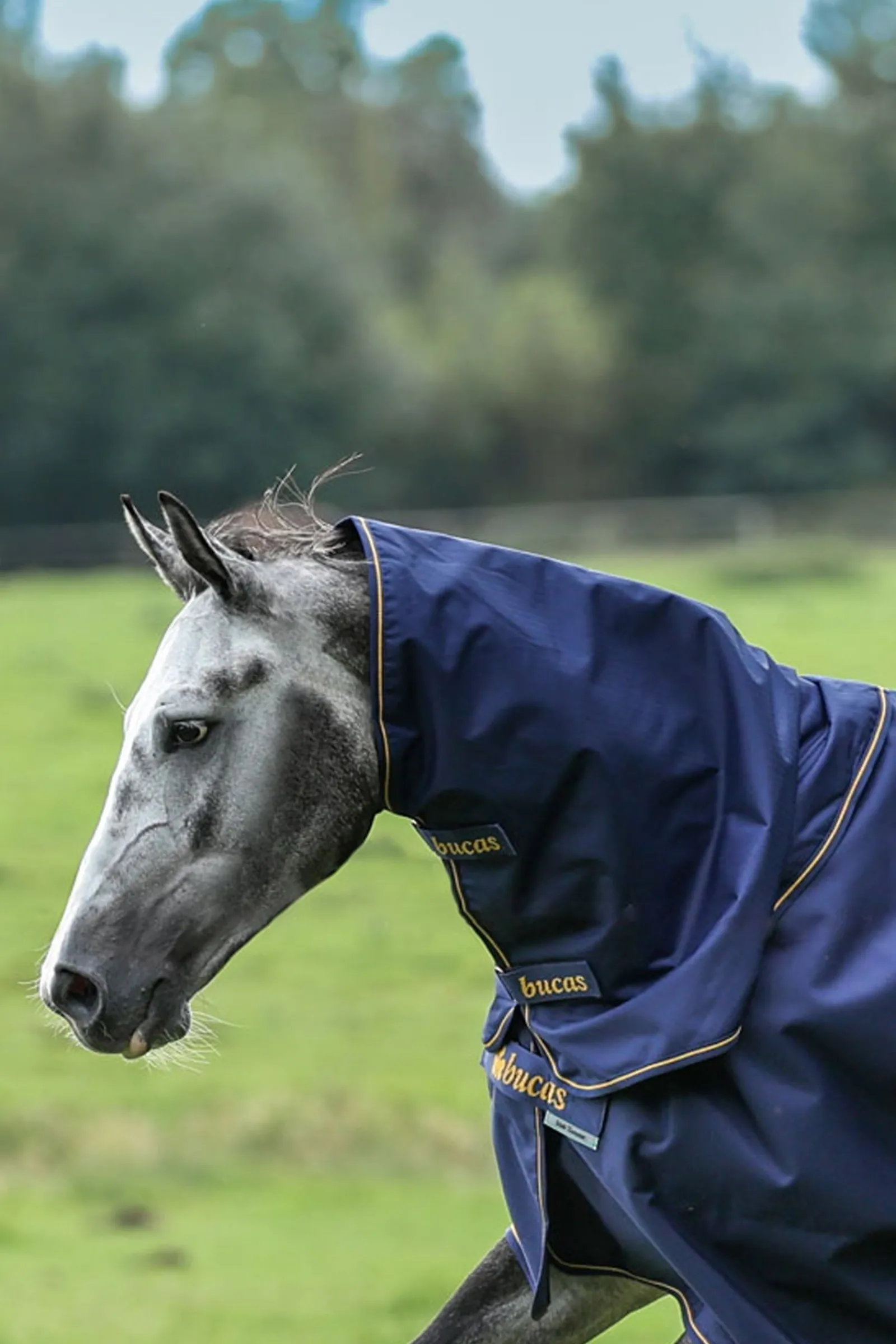Bucas Irish Turnout Halsteil, 0g* Halsteile