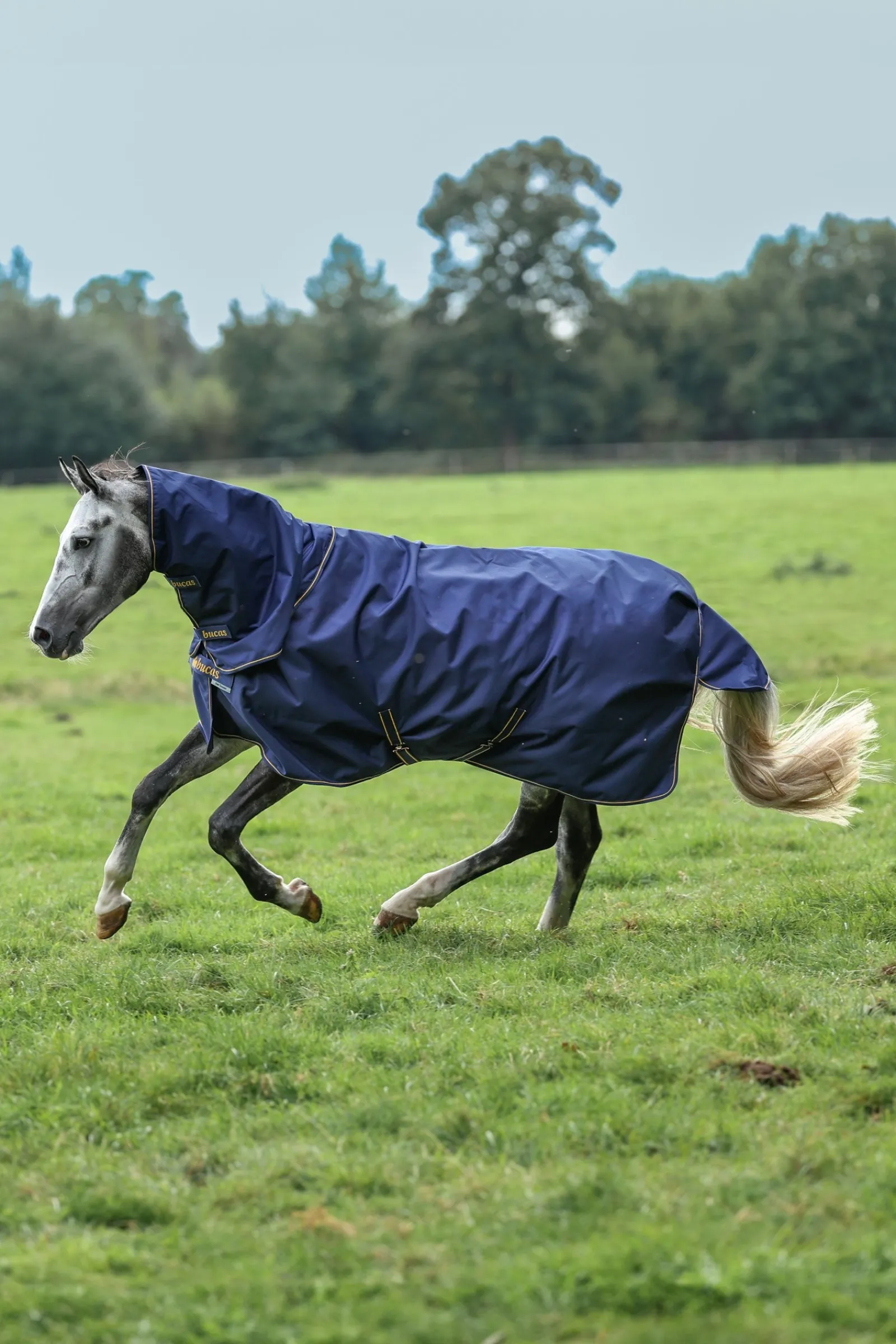 Bucas Irish Turnout Halsteil, 0g* Halsteile