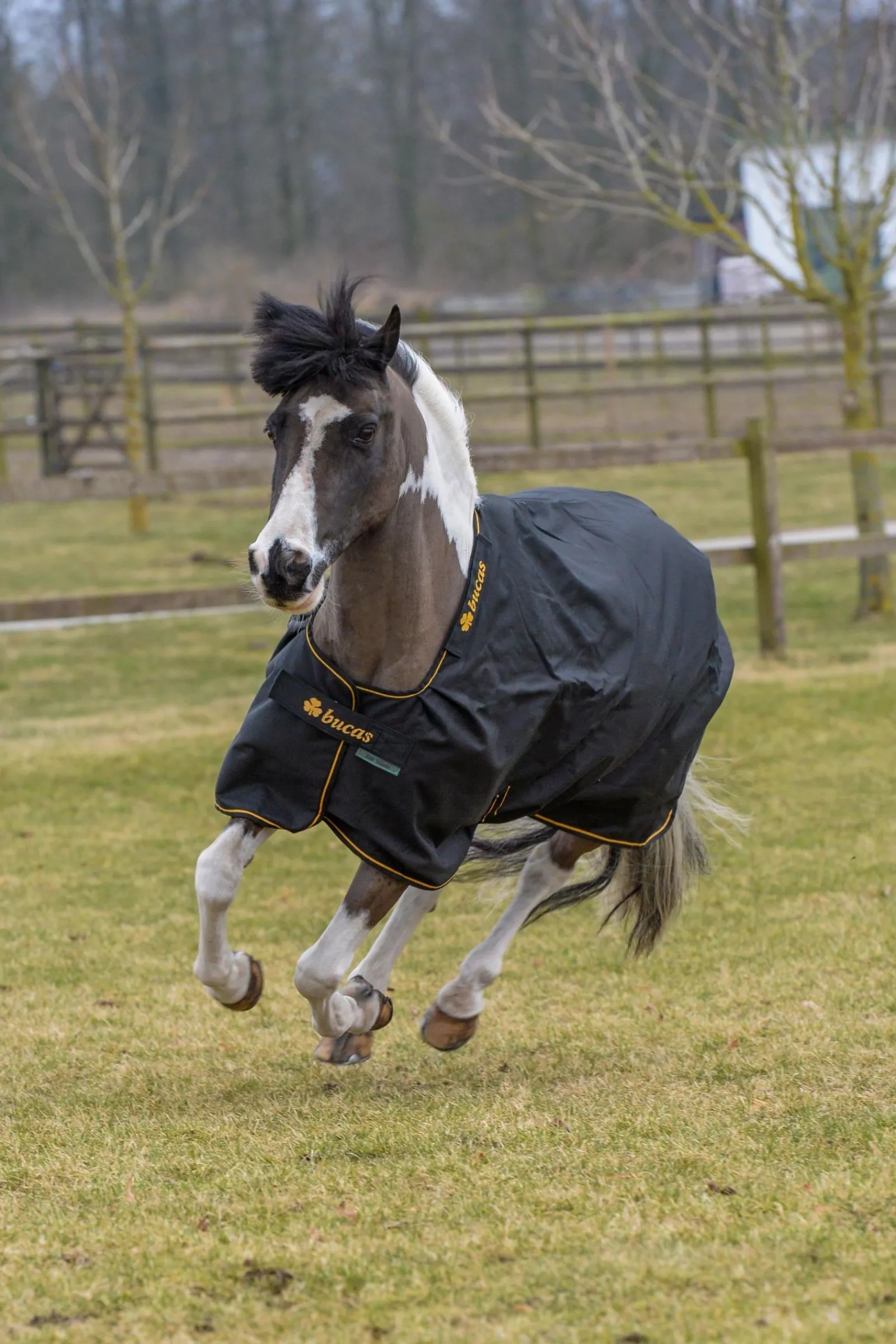 Bucas Irish Weidedecke, 150g* Leichte Weidedecken