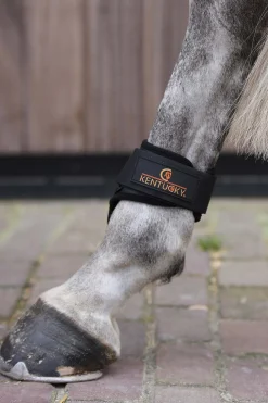 Kentucky Horsewear Jungpferde Streichkappe* Streichkappen