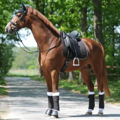 Kavalkade KavalEasy Strass Dressurschabracke* Dressurschabracken
