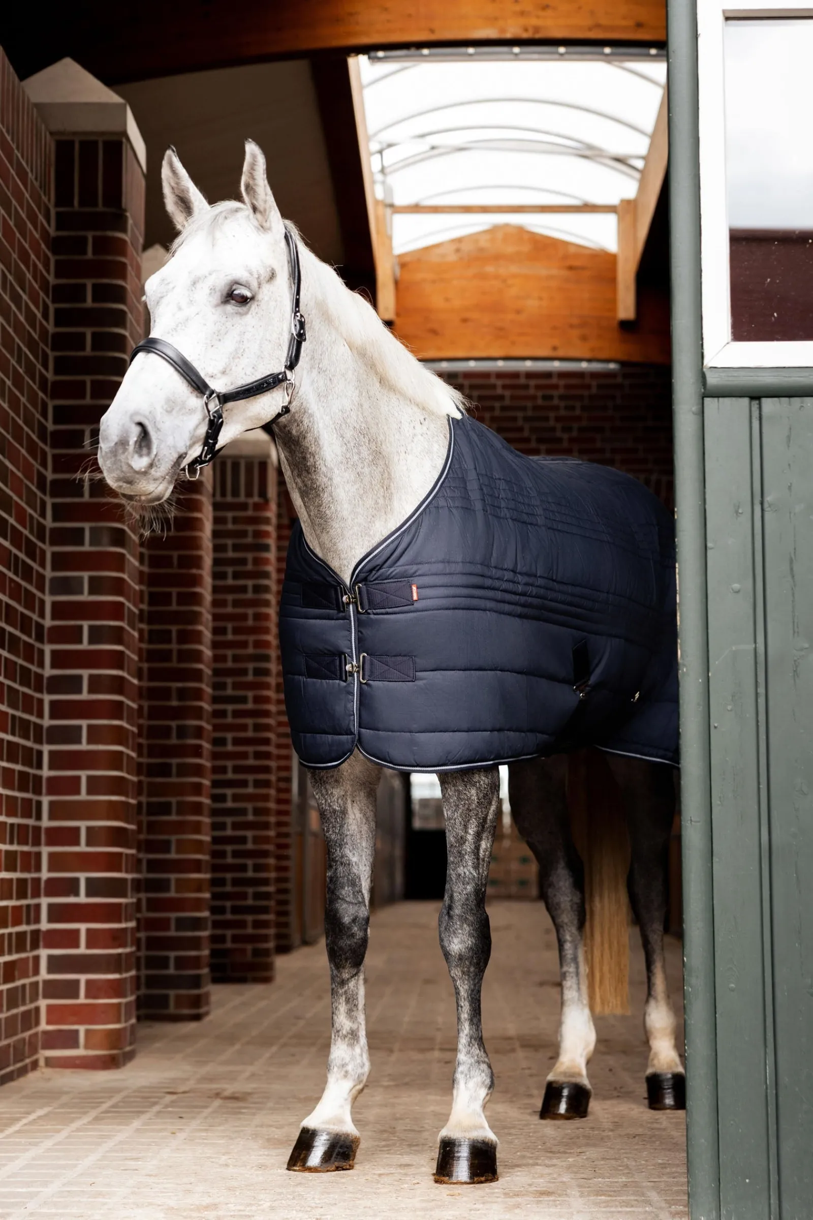 Horze Kingsley Stalldecke, 150 g* Stall- & Unterdecken