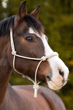 Kavalkade Knote Seilhalfter* Knotenhalfter