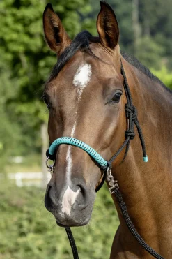 USG Knotted Rope Halter with Reins* Halfter