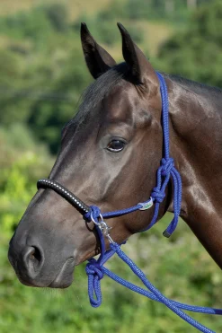 USG Knotted Rope Halter with Reins* Halfter
