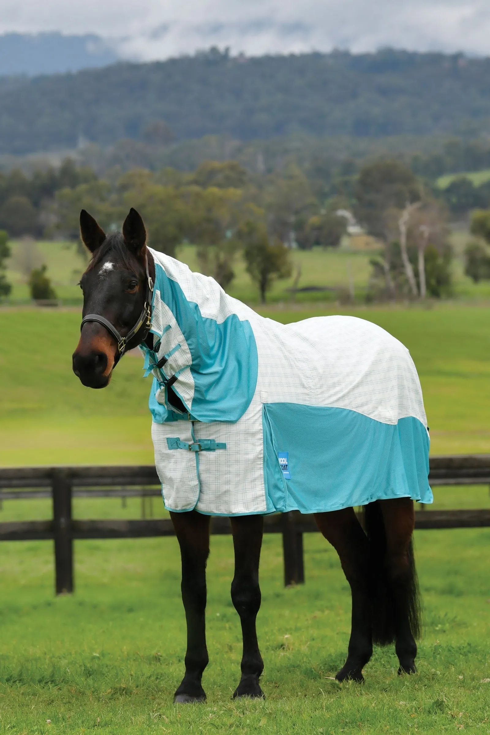 Weatherbeeta Kool Coat Baumwolle Airstream Ii Detach-A-Neck* Fliegendecken