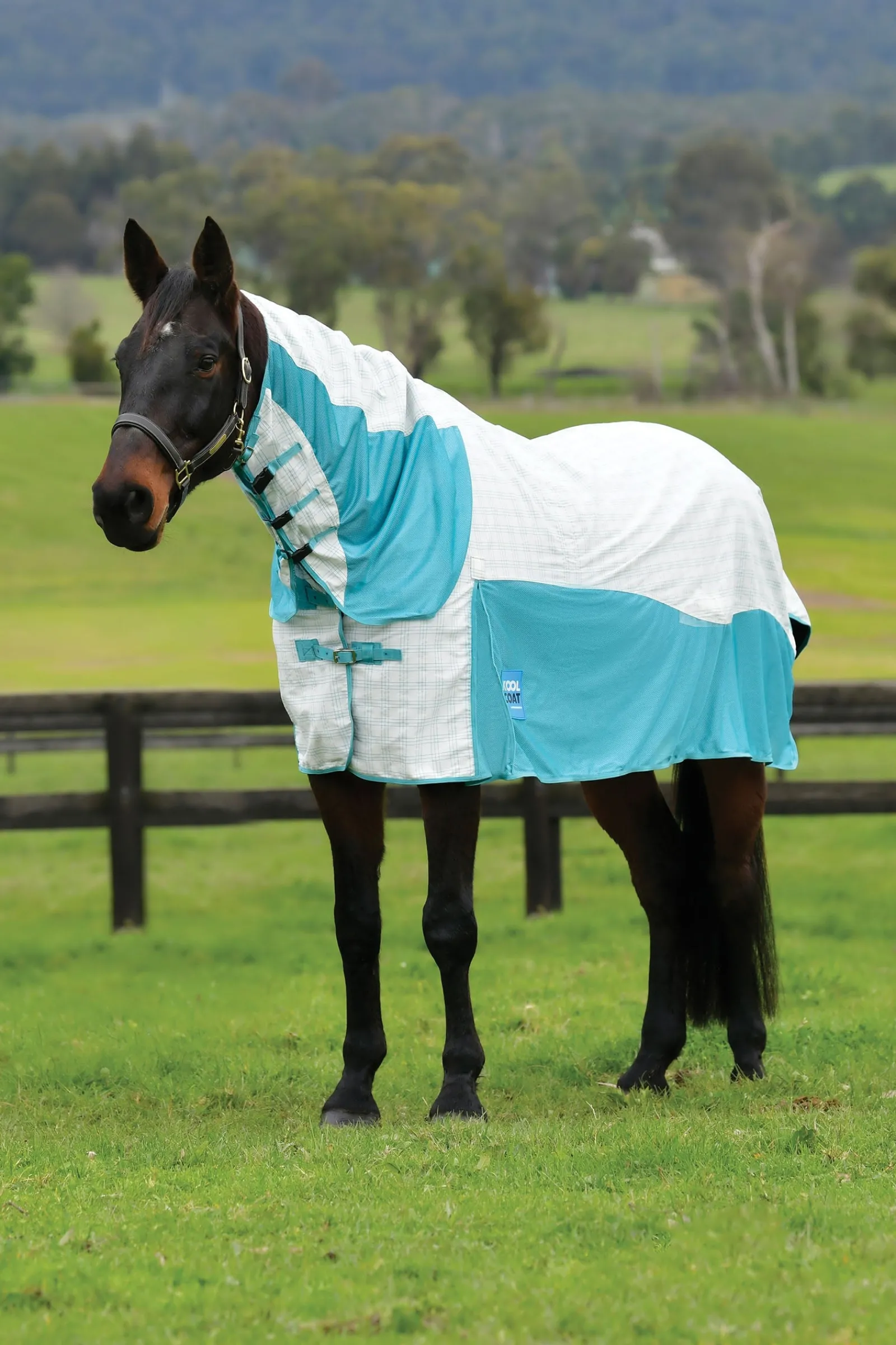 Weatherbeeta Kool Coat Baumwolle Airstream Ii Detach-A-Neck* Fliegendecken