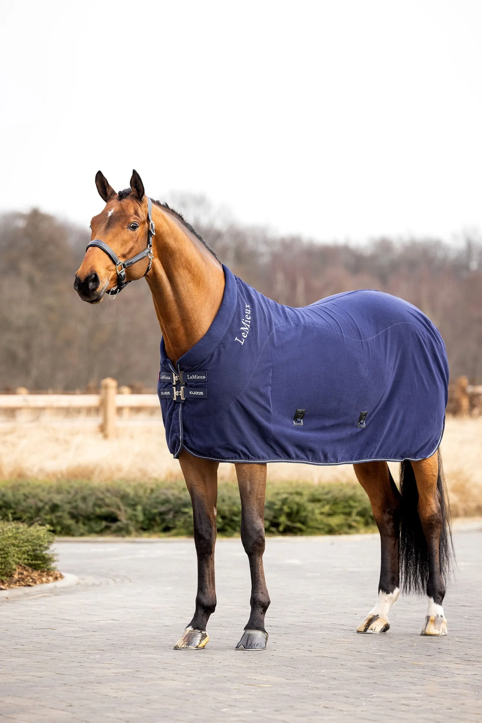 LeMieux Kudos Fleece-Abschwitzdecke* Abschwitzdecken