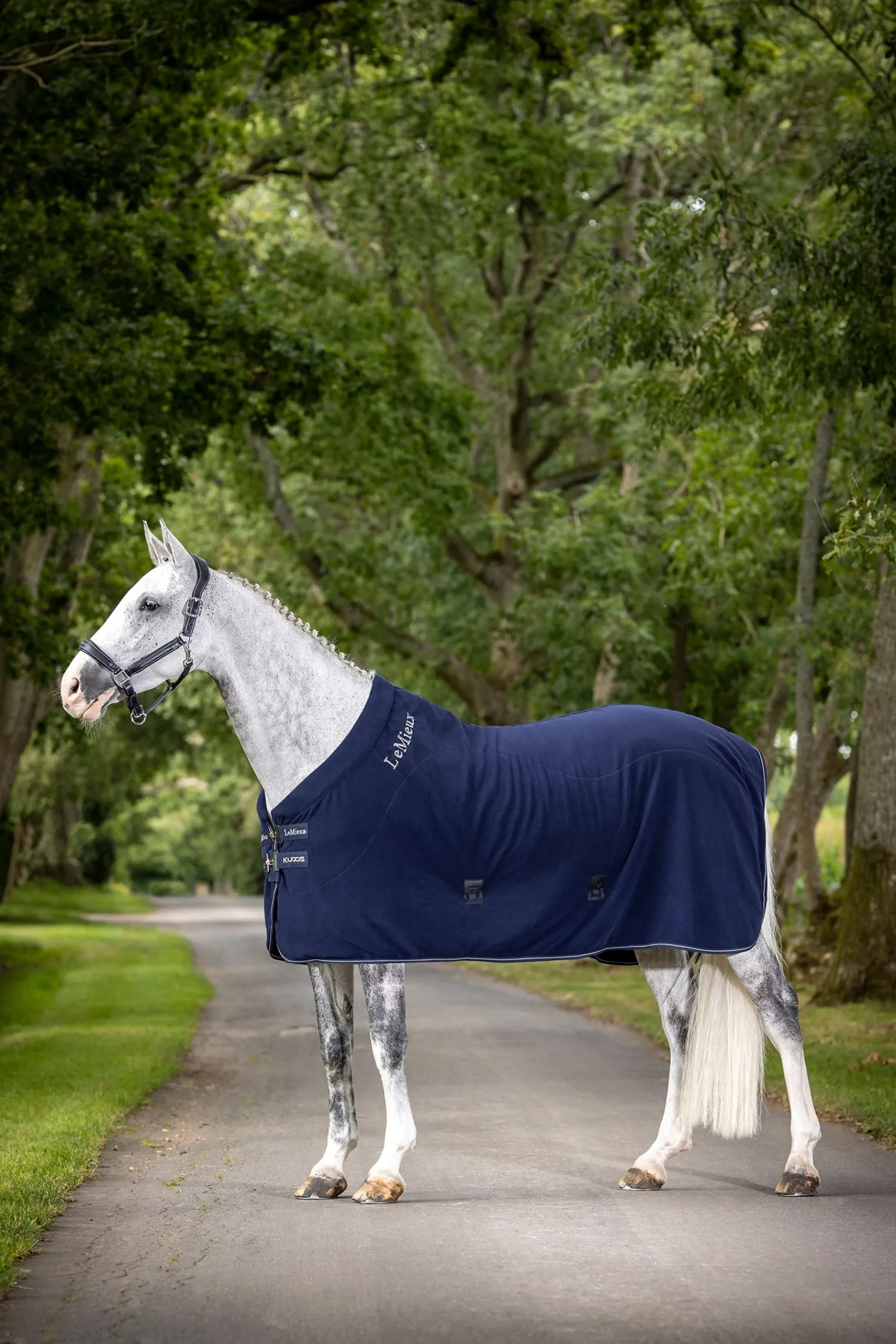 LeMieux Kudos Fleece-Abschwitzdecke* Abschwitzdecken