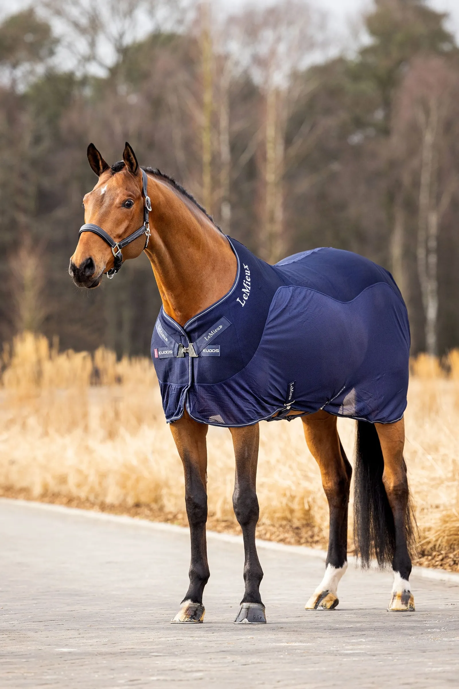 LeMieux Kudos Mesh-Sport-Abschwitzdecke* Abschwitzdecken