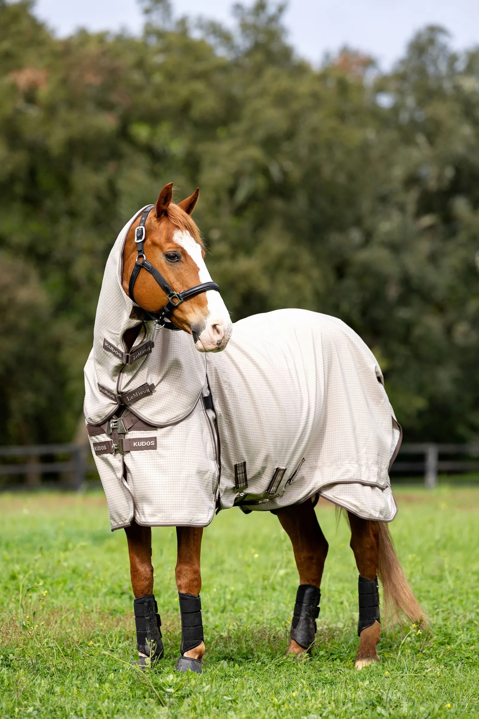 LeMieux Kudos Weidedecke* Fliegendecken