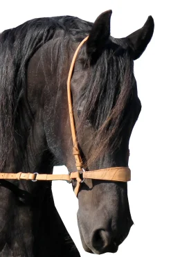 F.R.A. Freedom Riding Articles Lami Gebissloser Zaum (System 4)* Trensen & Nasenriemen