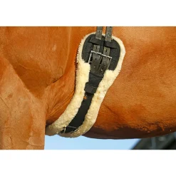Kentucky Horsewear Lammfell Kurzgurt* Sattelgurte