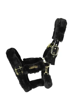 Kentucky Horsewear Lammfell Transport-Halfter* Halfter