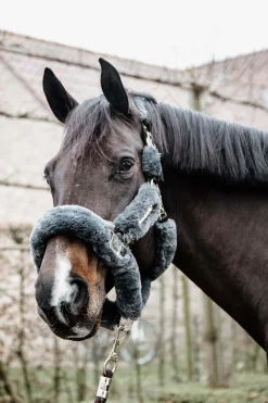 Kentucky Horsewear Lammfell Transport-Halfter* Halfter