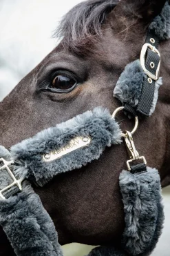 Kentucky Horsewear Lammfell Transport-Halfter* Halfter