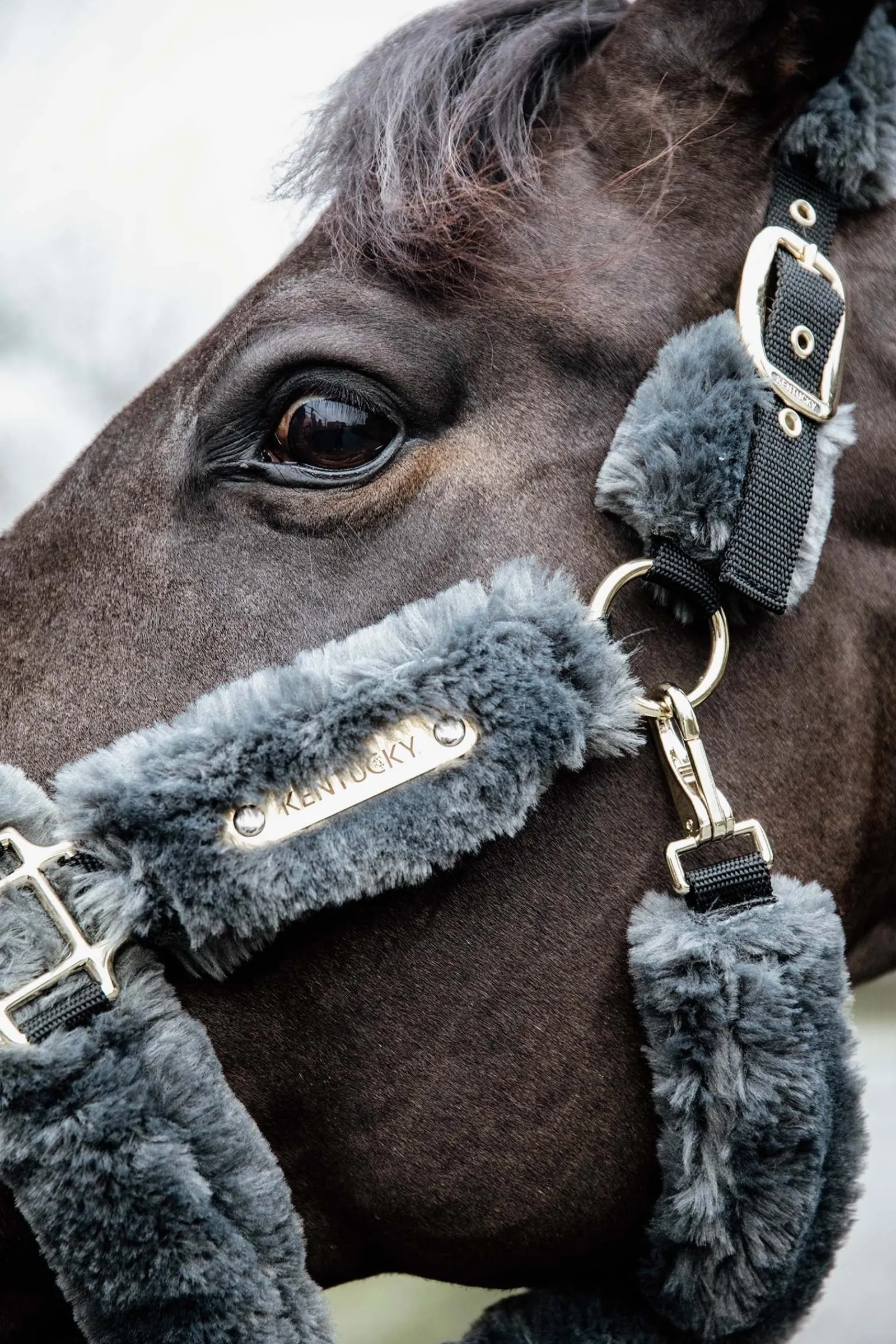 Kentucky Horsewear Lammfell Transport-Halfter* Halfter