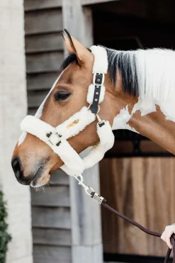 Kentucky Horsewear Lammfell Transport-Halfter* Halfter
