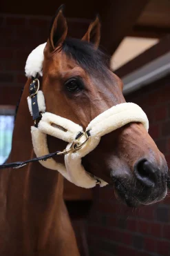 Kentucky Horsewear Lammfell Transport-Halfter* Halfter