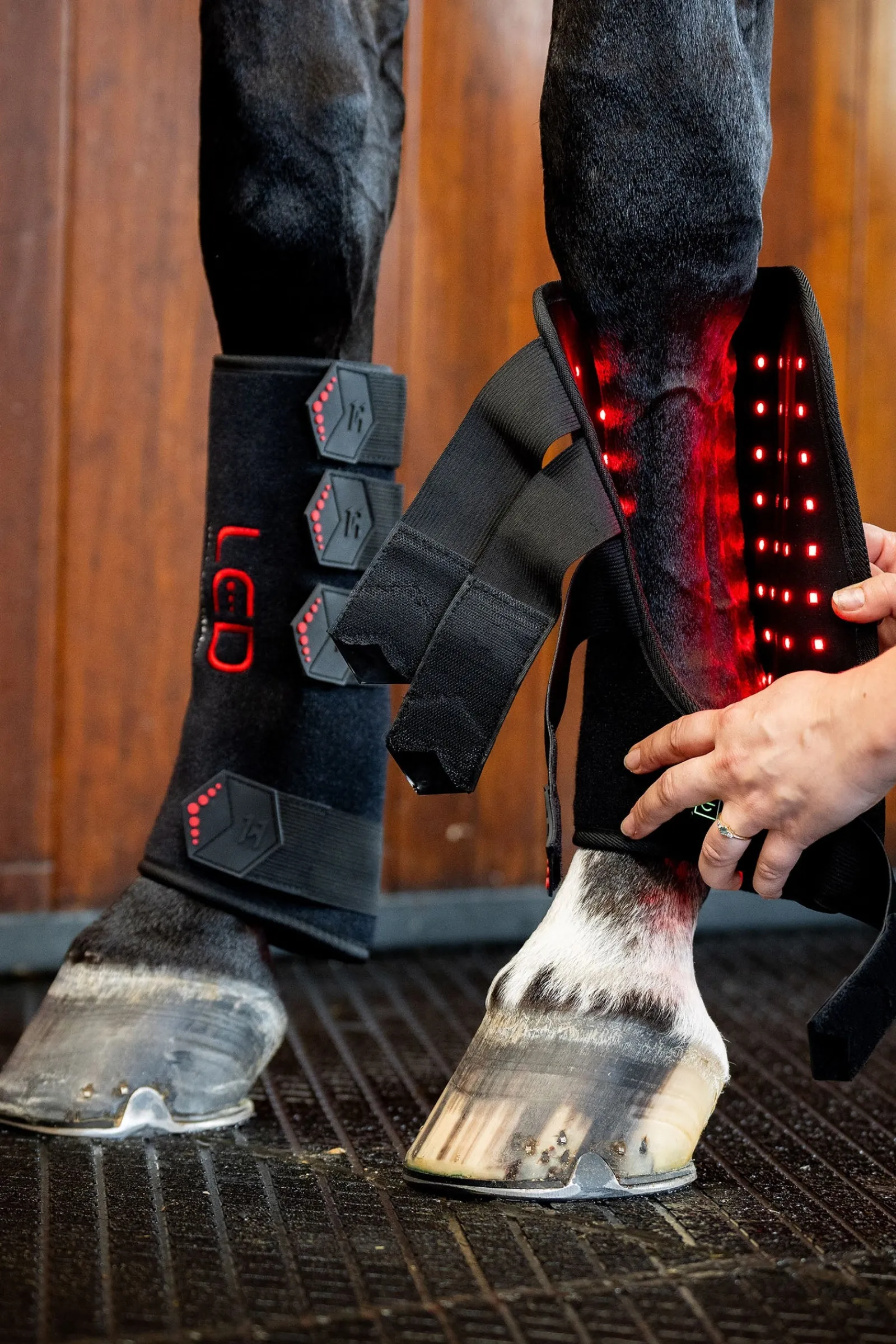 Horseware LED Rotlicht Therapie Gamasche (1 Stk.)* Therapie- & Kühlgamaschen