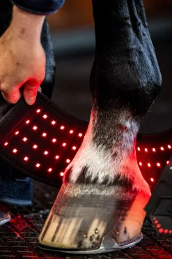 Horseware LED Rotlicht Therapie Mini-Gamasche (1 Stk.)* Therapie- & Kühlgamaschen