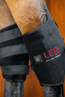 Horseware LED Rotlicht-Therapie Sprunggelenksgamasche (1 Stk.)* Therapie- & Kühlgamaschen