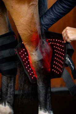 Horseware LED Rotlicht-Therapie Sprunggelenksgamasche (1 Stk.)* Therapie- & Kühlgamaschen
